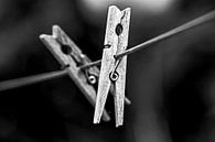 Pegs by Scholtes Fotografie thumbnail