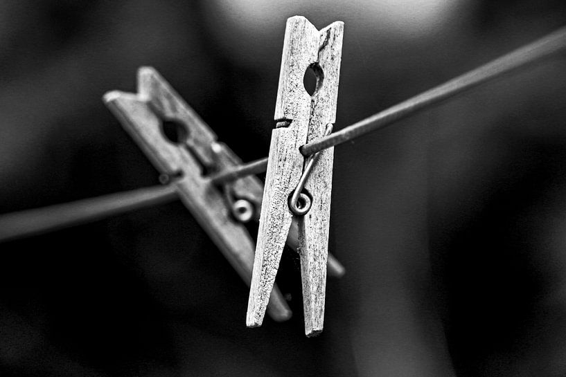 Pegs by Scholtes Fotografie
