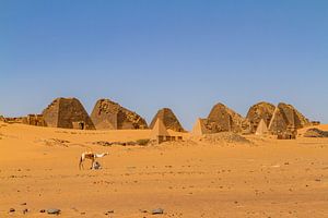 Die Pyramiden von Meroe