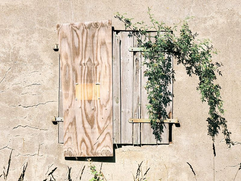 Country life by Momentaufnahme | Marius Ahlers