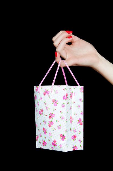 Shopping queen van Anita Hermans