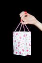 Shopping queen van Anita Hermans thumbnail