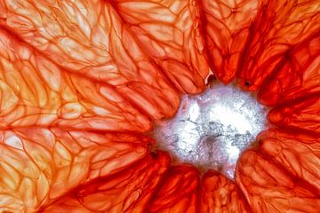 Close-up van een schijfje grapefruit met een witte achtergrond. van Carola Schellekens
