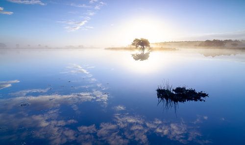 Strabrechtse Heide 144