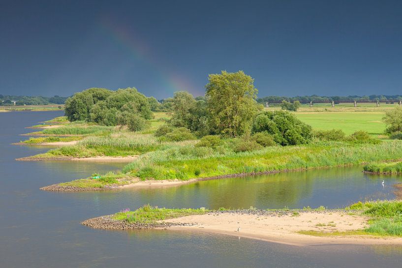 Uiterwaard Elbe van Sven-Erik Arndt