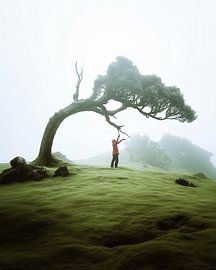 Envie d'aventure et de loin