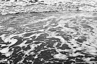 Wilde Seele