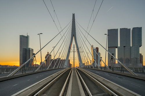 the classic erasmusbrug shot