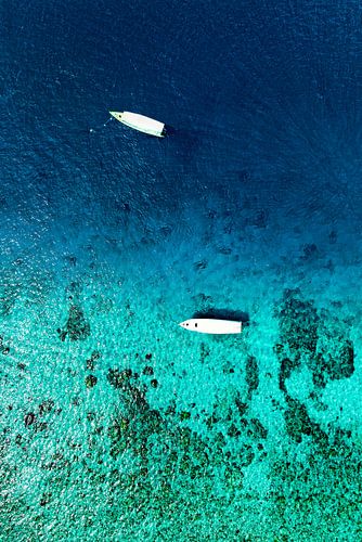 Aerial Summer - In Mid-Water