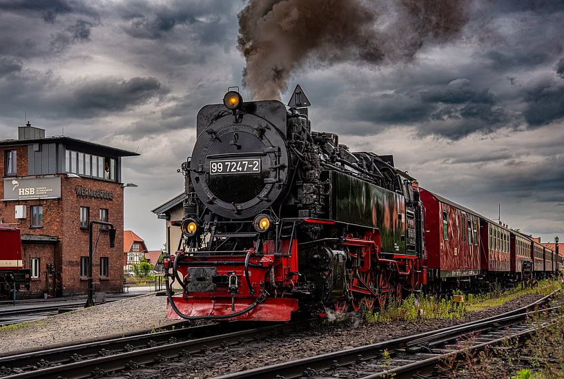 Smalspoorbaan in de Harz van Ria Overbeeke