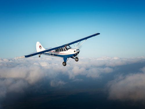 Husky airplane above the clouds