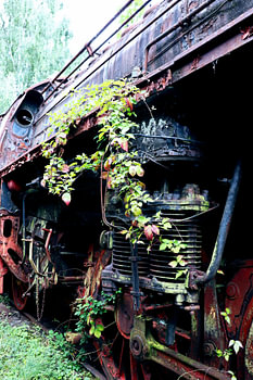 Histoire de l'abandon