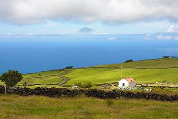 Azoren landbouwgrond van Jan Brons