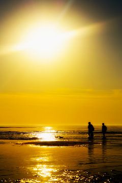 Strandwanderung von Jan van der Knaap