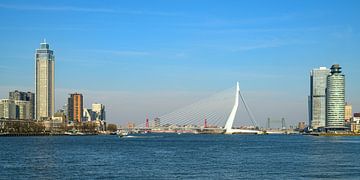 Rotterdam skyline uitzicht op de Nieuwe Maas met de Erasmusbrug van Sjoerd van der Wal Fotografie