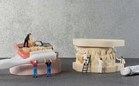 het reinigen van een gebits prothese met tandpasta door miniatuurtjes van ChrisWillemsen thumbnail
