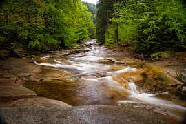 La Mumlava, une rivière de montagne sauvage dans les Monts des Géants sur Holger W. Spieker