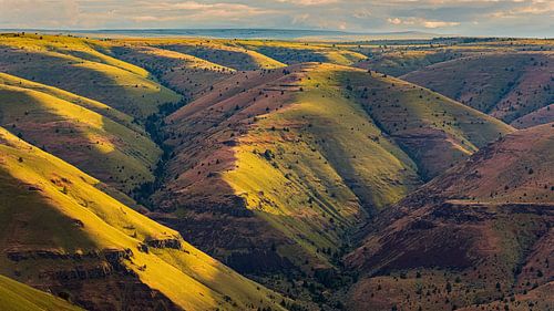 Oregon's hilly landscape