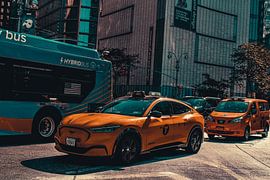 Bekannte Taxis von Yalenka Harel