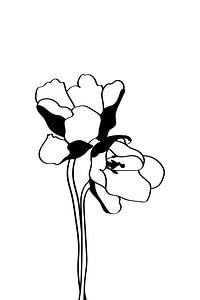 Blume von Sadiku-Reijmers