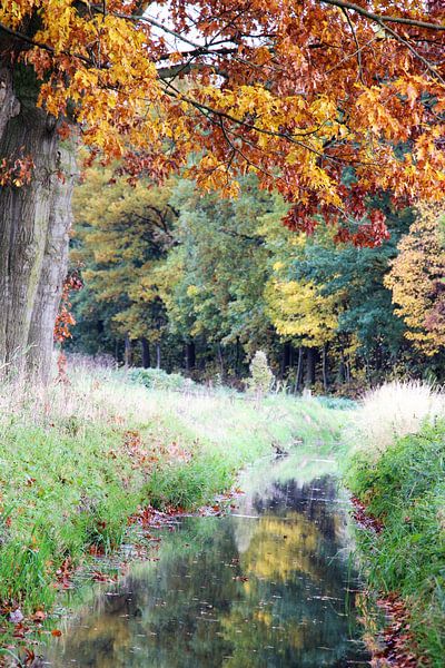 HERFST by Maja Smits