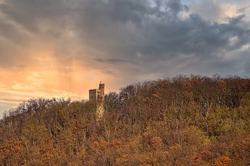 Ein Blick auf die Moltkewarte, einen Aussichtsturm bei Sangerhausen von Andreas Völkel