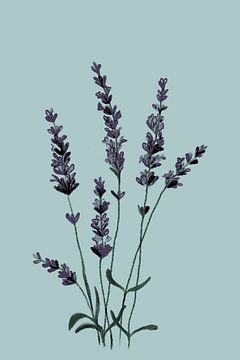 Lavendel von MishMash van Heukelom
