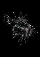 Scribble Art