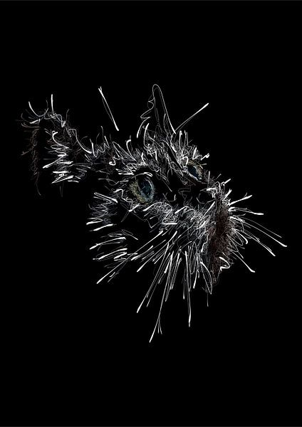 Scribble Art von luminscene