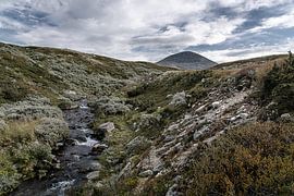 Norvège | Bergbeek et Berg Muen à Rondane sur Dylan Winter Visuals