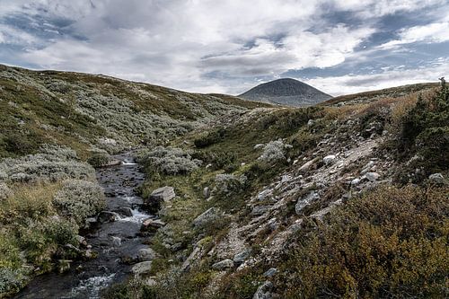Norvège | Bergbeek et Berg Muen à Rondane