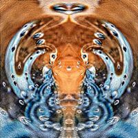 Tweeling Zwanen spelen met water