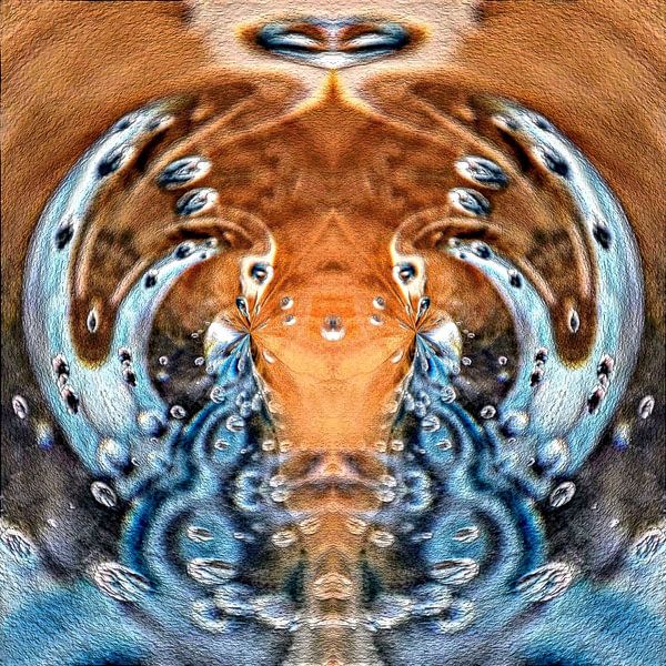 Deux cygnes jouant avec l'eau par Nina IoKa