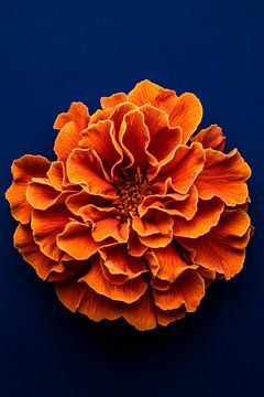 Leuchtende orange Blüte von Poster Art Shop