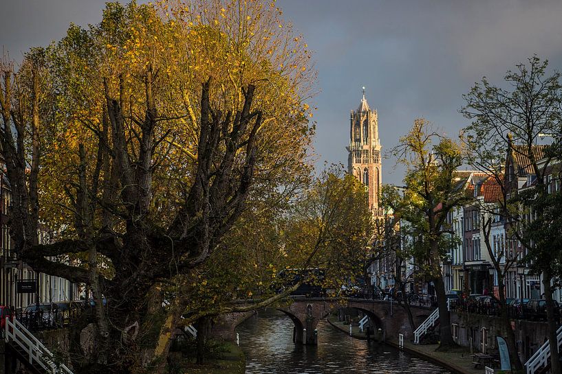 Zeer mooi licht op de Domtoren in Utrecht van De Utrechtse Internet Courant (DUIC)