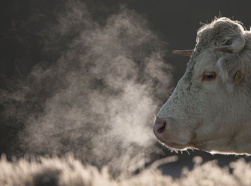 Ademtocht van Richard Kalkman fotografie