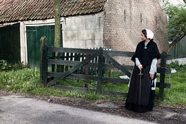 12 - Fencing von Irene Hoekstra