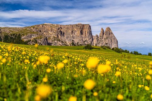 Lente op de Seiser Alm van Achim Thomae Photography