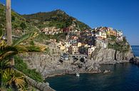 Kleurrijk Manarola in Cinque Terre, Italië van Reis Genie thumbnail
