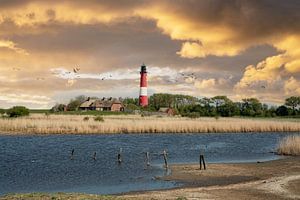 Leuchtturm, Pellworm, Nordfriesland, Deutschland