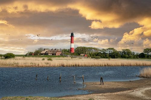 Vuurtoren, Pellworm, Noord-Friesland, Duitsland