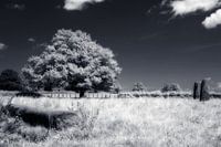 Paysage mystique infrarouge B&W avec menhirs d&#039 ; Epoigny Bourgogne France