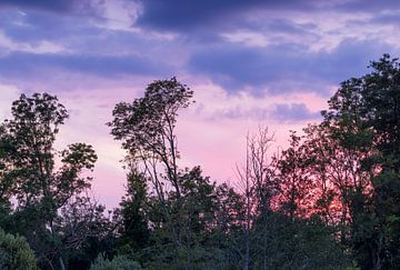 Zonsondergang bomen - Groningen (Nederland) van Marcel Kerdijk