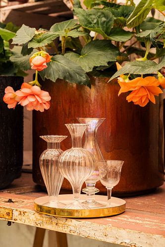 Nature morte, Green House Begonia, pot en cuivre robuste et vases anciens