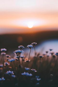 Flowers By Sunset No 2 von Treechild