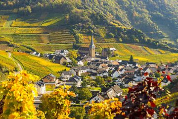 Vineyards in autumn, Mayschoss, Ahrtal by Walter G. Allgöwer