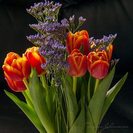 Tulips by Torfinn Johannessen