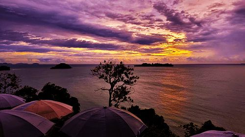 Calm Before the Horizon