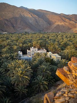 Oase van dadelpalmen in de woestijn van Oman van Teun Janssen