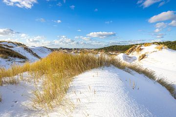 Besneeuwde duiden met helmgras schoorl van René Groeneveld